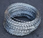 WhatsApp Image 2025-12-26 at 1.17.37 PM (1)